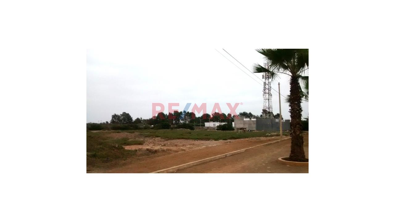 Terreno de 10001 m² en Asia — foto 4
