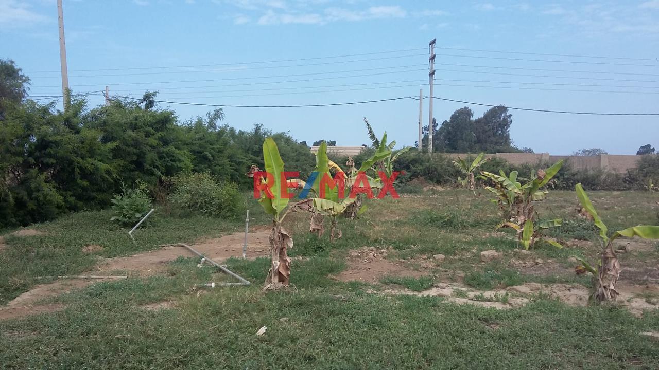 Terreno Exclusivo Para Invertir O Vivir Cerca Al Mar  | Cañete — foto 11