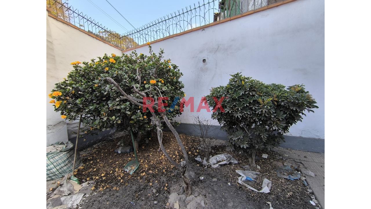Alquiler De Terreno Comercial En Av. Salaverry Y Av. Cuba - Jesus Maria - 16