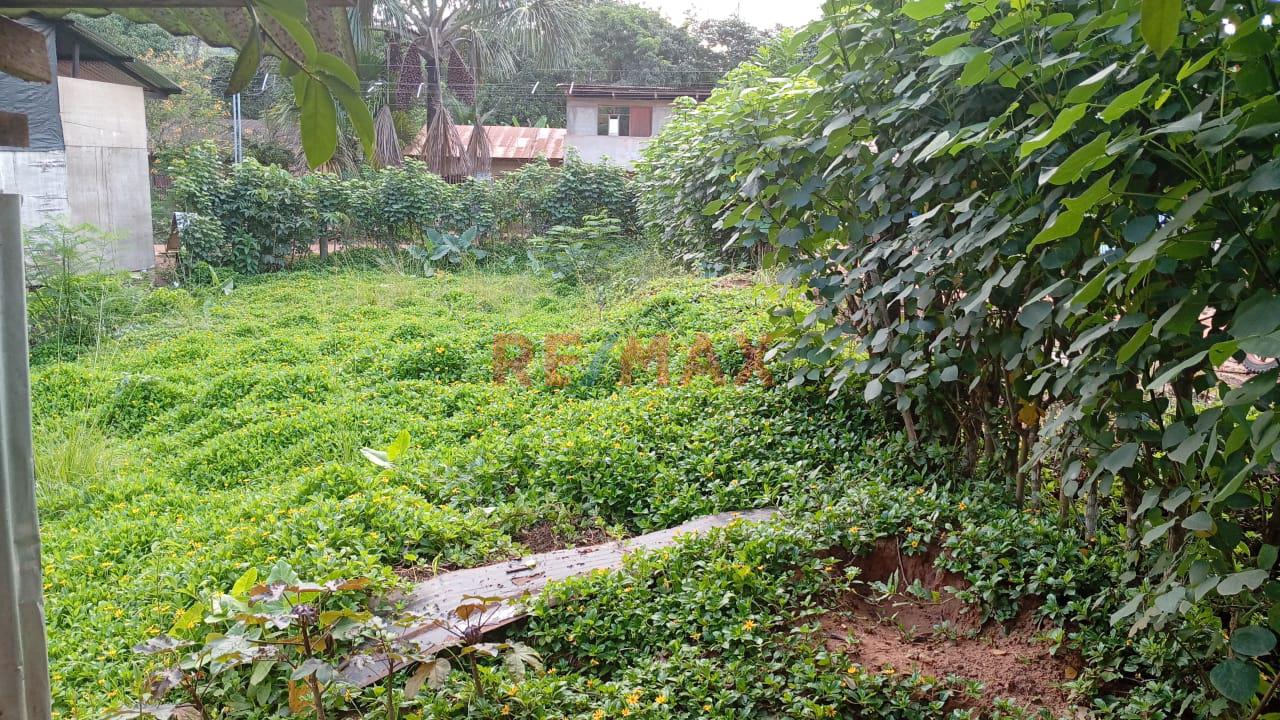Terreno En El Distrito De Sauce A Cinco Cdras De La Laguna Azul, Tarapoto, San Martín. - 14