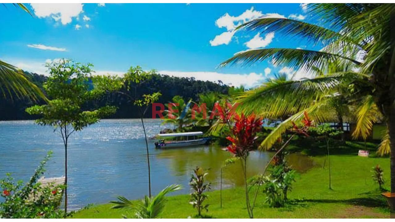 Terreno En El Distrito De Sauce A Cinco Cdras De La Laguna Azul, Tarapoto, San Martín. - 3