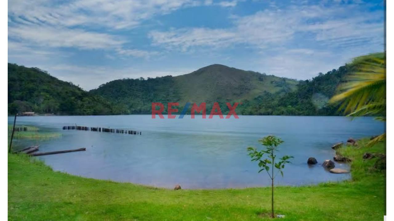 Terreno En El Distrito De Sauce A Cinco Cdras De La Laguna Azul, Tarapoto, San Martín. - 8