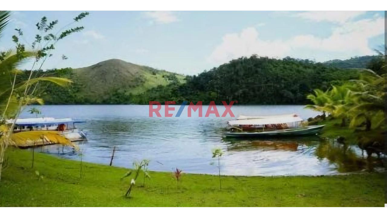 Terreno En El Distrito De Sauce A Cinco Cdras De La Laguna Azul, Tarapoto, San Martín. - 2