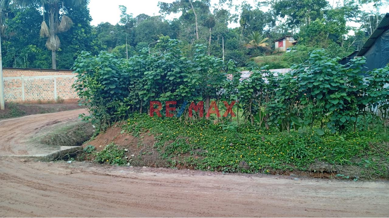 Terreno En El Distrito De Sauce A Cinco Cdras De La Laguna Azul, Tarapoto, San Martín. - 12