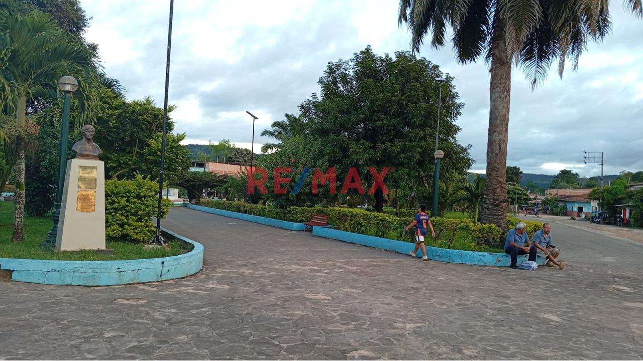 Terreno En El Distrito De Sauce A Cinco Cdras De La Laguna Azul, Tarapoto, San Martín. - 17
