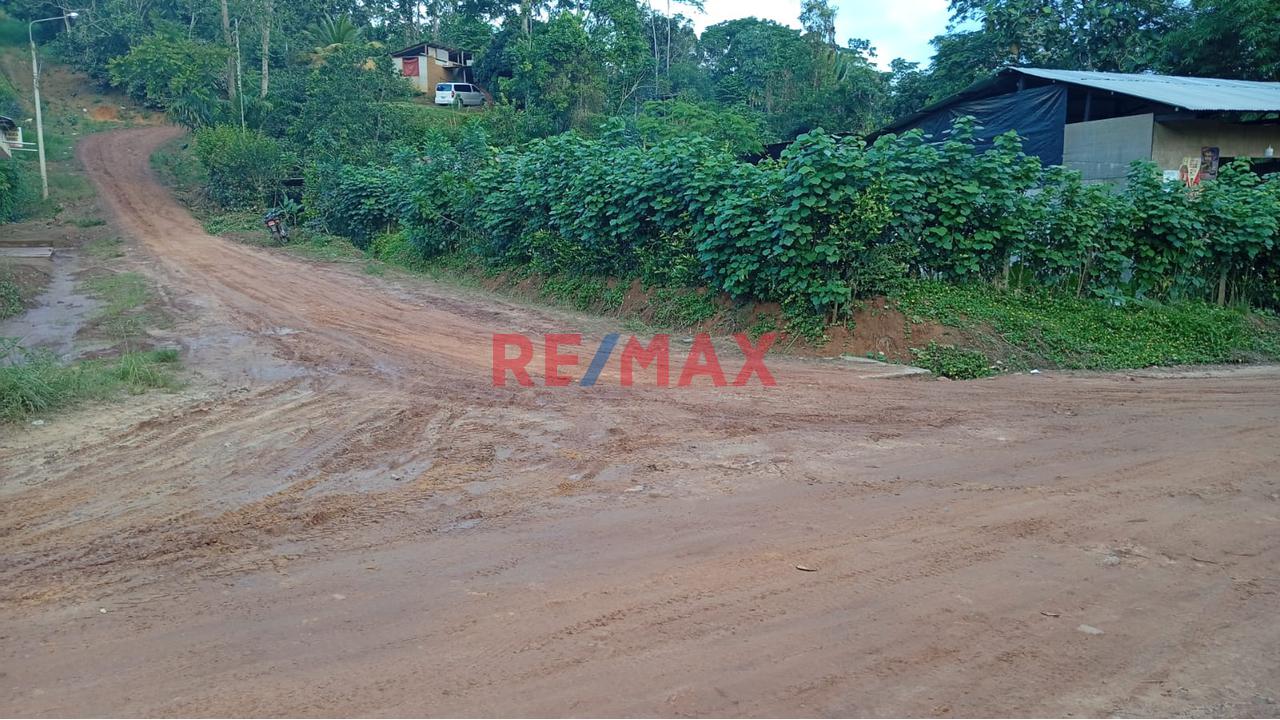 Terreno En El Distrito De Sauce A Cinco Cdras De La Laguna Azul, Tarapoto, San Martín. - 18