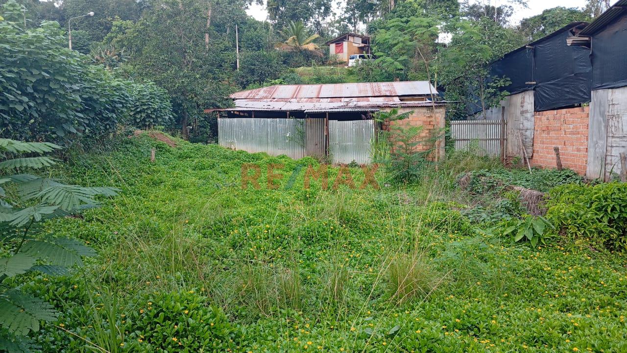 Terreno En El Distrito De Sauce A Cinco Cdras De La Laguna Azul, Tarapoto, San Martín. - 1
