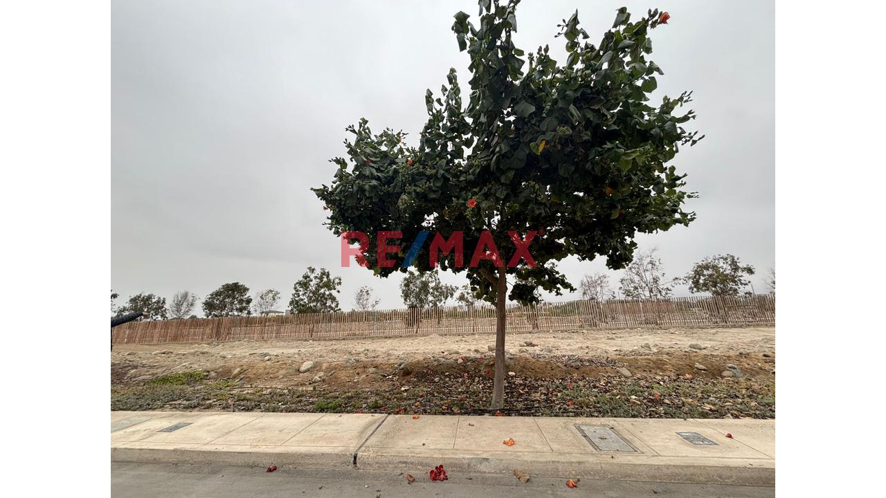 🏡 ¡Terreno En Venta En Exclusivo Condominio En Asia, Lima Sur! - 15