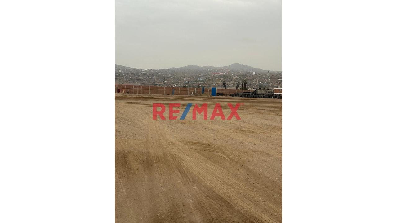 Alquiler De Terreno Industrial En La Zona De Ventanilla En La Av Los Delfines - 1