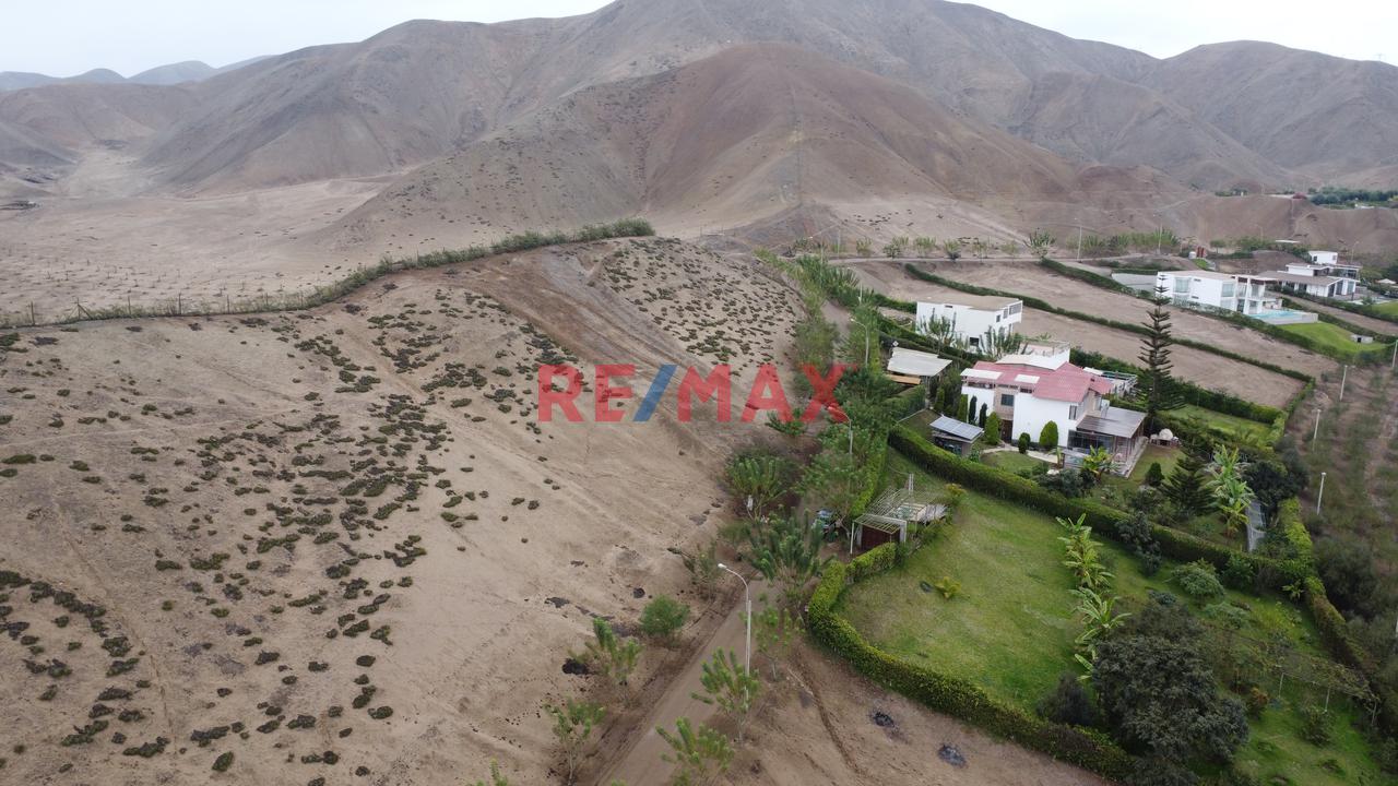 🌄 Terreno Con Vista Panorámica – Finca Olivos, Cañete — foto 6