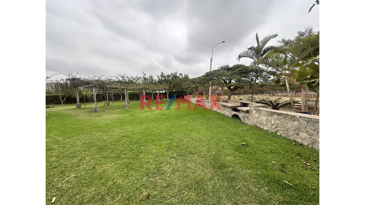 🌄 Terreno Con Vista Panorámica – Finca Olivos, Cañete — foto 11