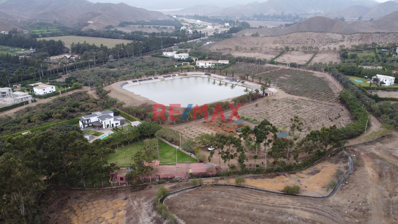 🌄 Terreno Con Vista Panorámica – Finca Olivos, Cañete — foto 9