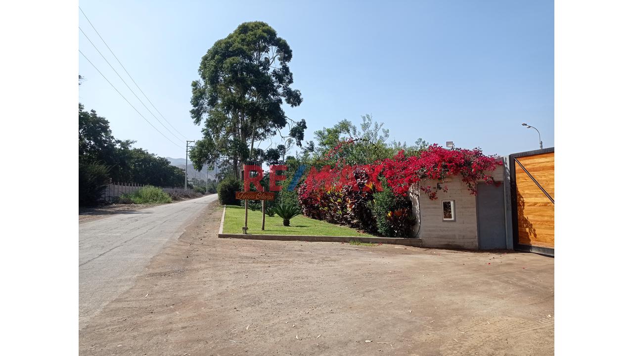 🌄 Terreno Con Vista Panorámica – Finca Olivos, Cañete — foto 2