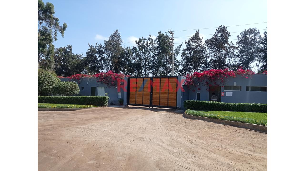 🌄 Terreno Con Vista Panorámica – Finca Olivos, Cañete — foto 3
