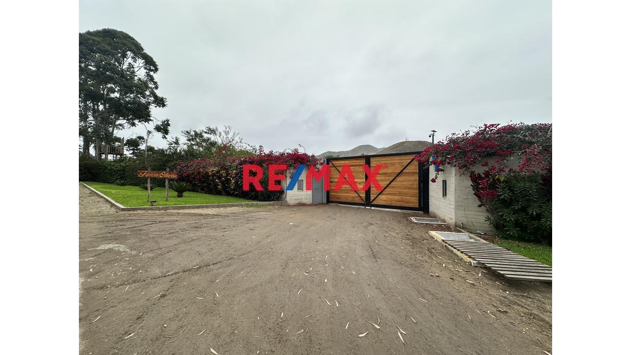 🌄 Terreno Con Vista Panorámica – Finca Olivos, Cañete