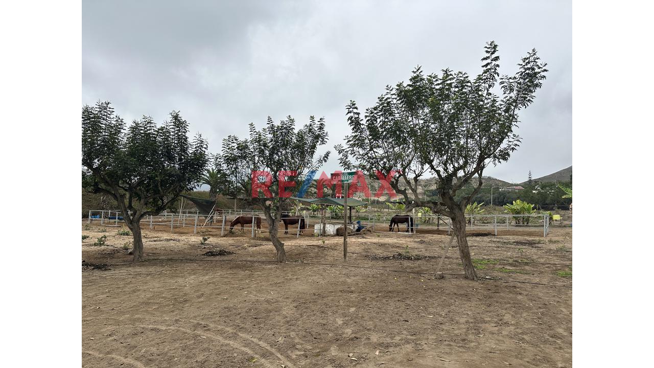 🌄 Terreno Con Vista Panorámica – Finca Olivos, Cañete — foto 10
