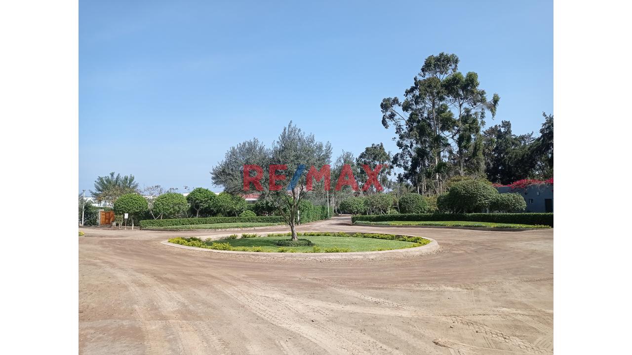 🌄 Terreno Con Vista Panorámica – Finca Olivos, Cañete — foto 4