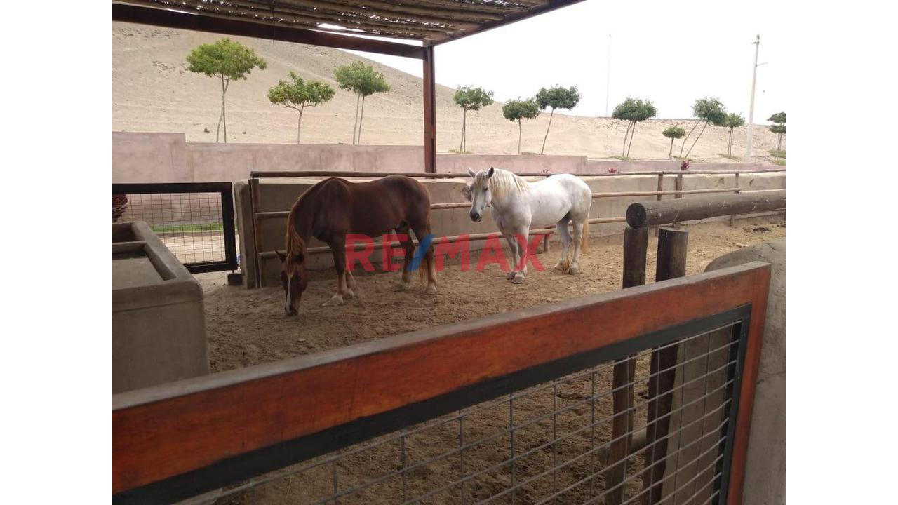Venta 2 Terrenos En Fundo Pradera, Asia, 383 Y 419 M2 — foto 9