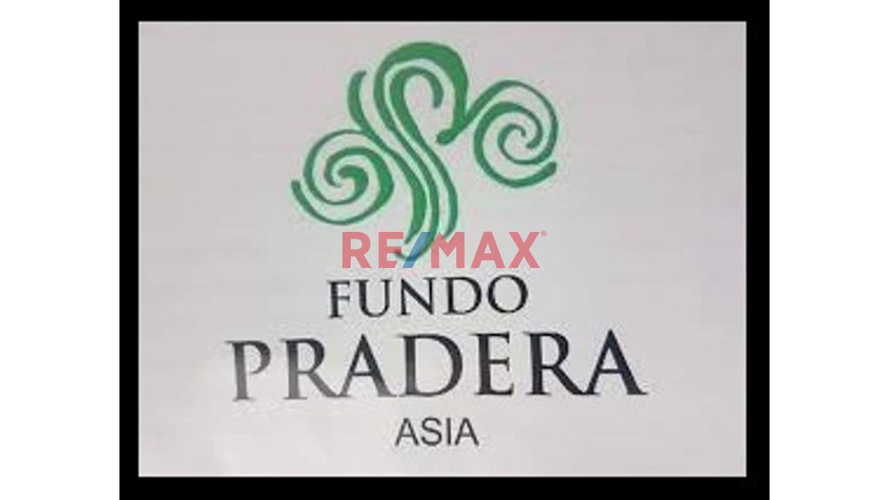 Venta 2 Terrenos En Fundo Pradera, Asia, 383 Y 419 M2 — foto 3