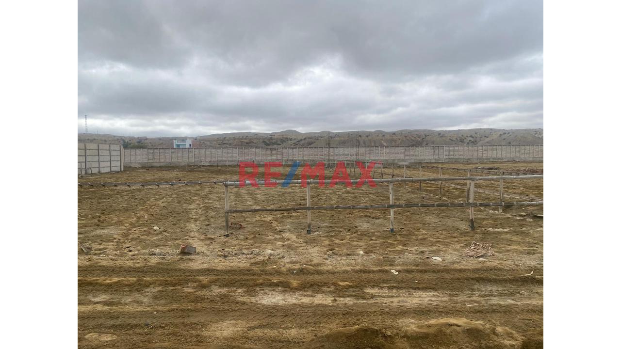 Terreno En Venta En Colán 600 M2 - 7