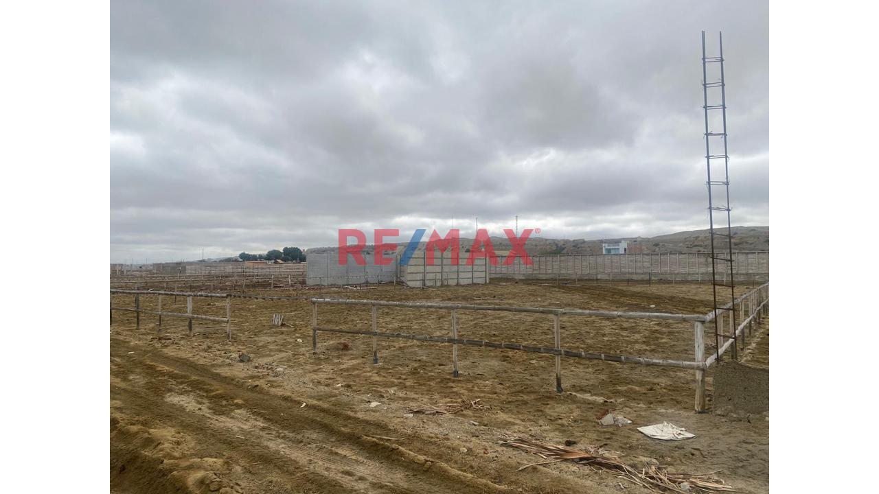 Terreno En Venta En Colán 600 M2 - 8
