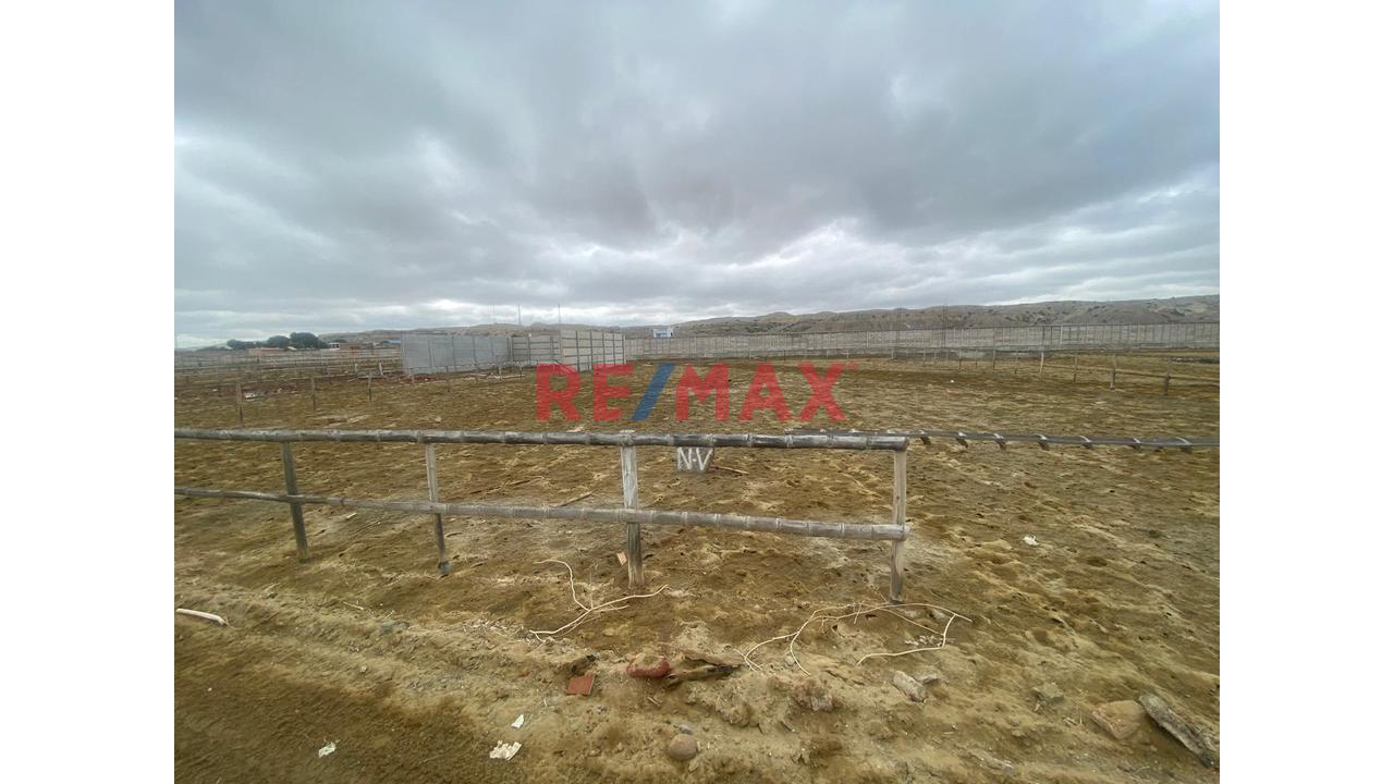 Terreno En Venta En Colán 600 M2 - 2