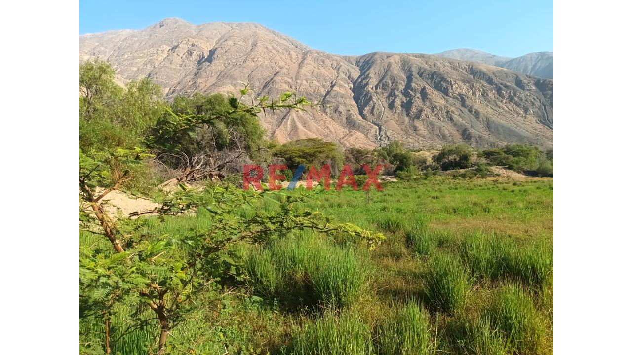 Haz Realidad Tu Proyecto Rural: Fundo Ganadero Y Agrícola En El Corazón De Sancos-Ayacucho - 8