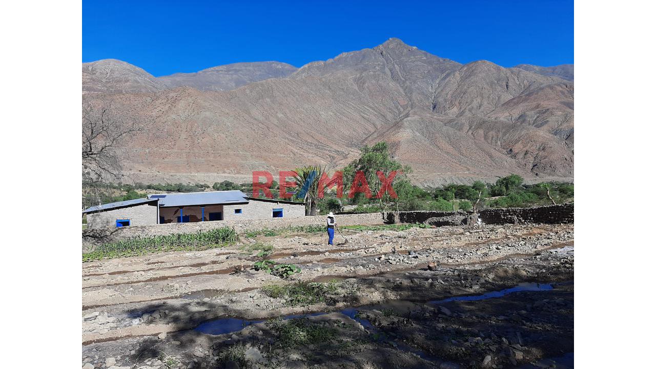 Haz Realidad Tu Proyecto Rural: Fundo Ganadero Y Agrícola En El Corazón De Sancos-Ayacucho - 4