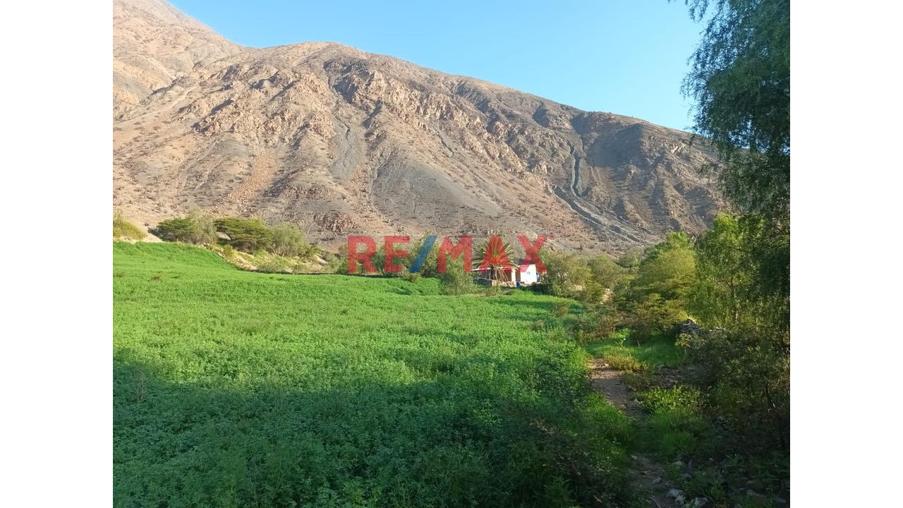 Haz Realidad Tu Proyecto Rural: Fundo Ganadero Y Agrícola En El Corazón De Sancos-Ayacucho - 11