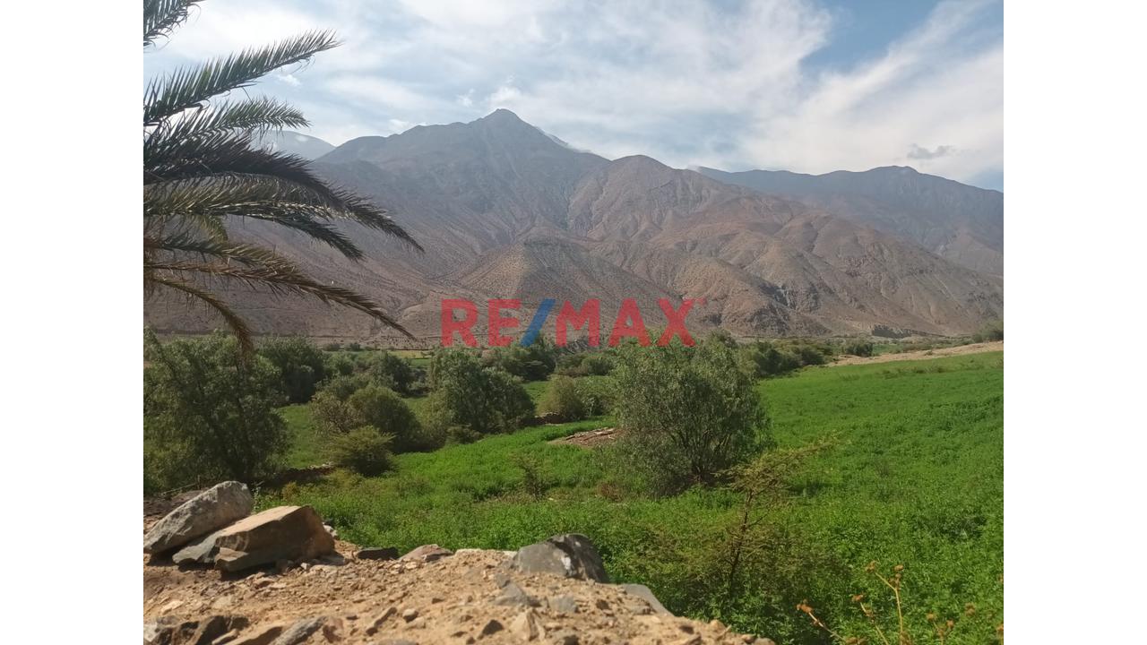 Haz Realidad Tu Proyecto Rural: Fundo Ganadero Y Agrícola En El Corazón De Sancos-Ayacucho - 7