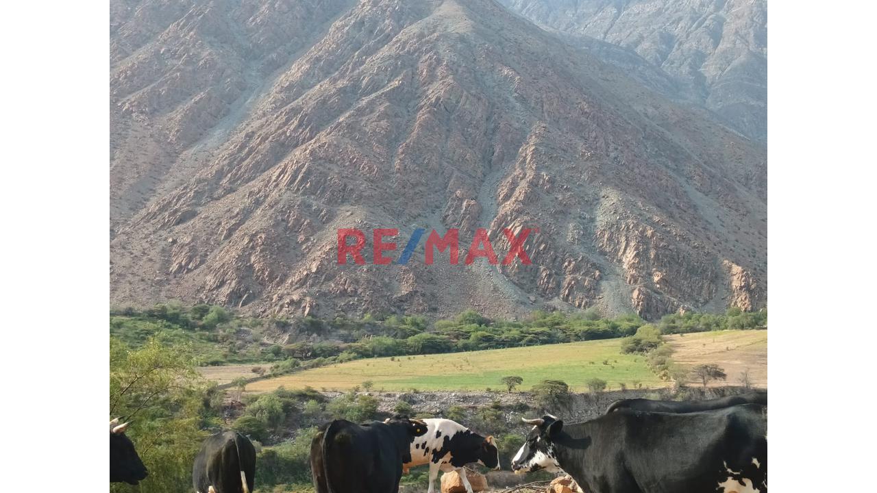 Haz Realidad Tu Proyecto Rural: Fundo Ganadero Y Agrícola En El Corazón De Sancos-Ayacucho - 10