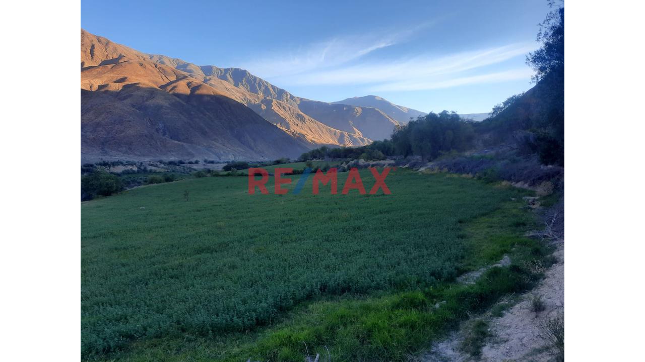 Haz Realidad Tu Proyecto Rural: Fundo Ganadero Y Agrícola En El Corazón De Sancos-Ayacucho - 5