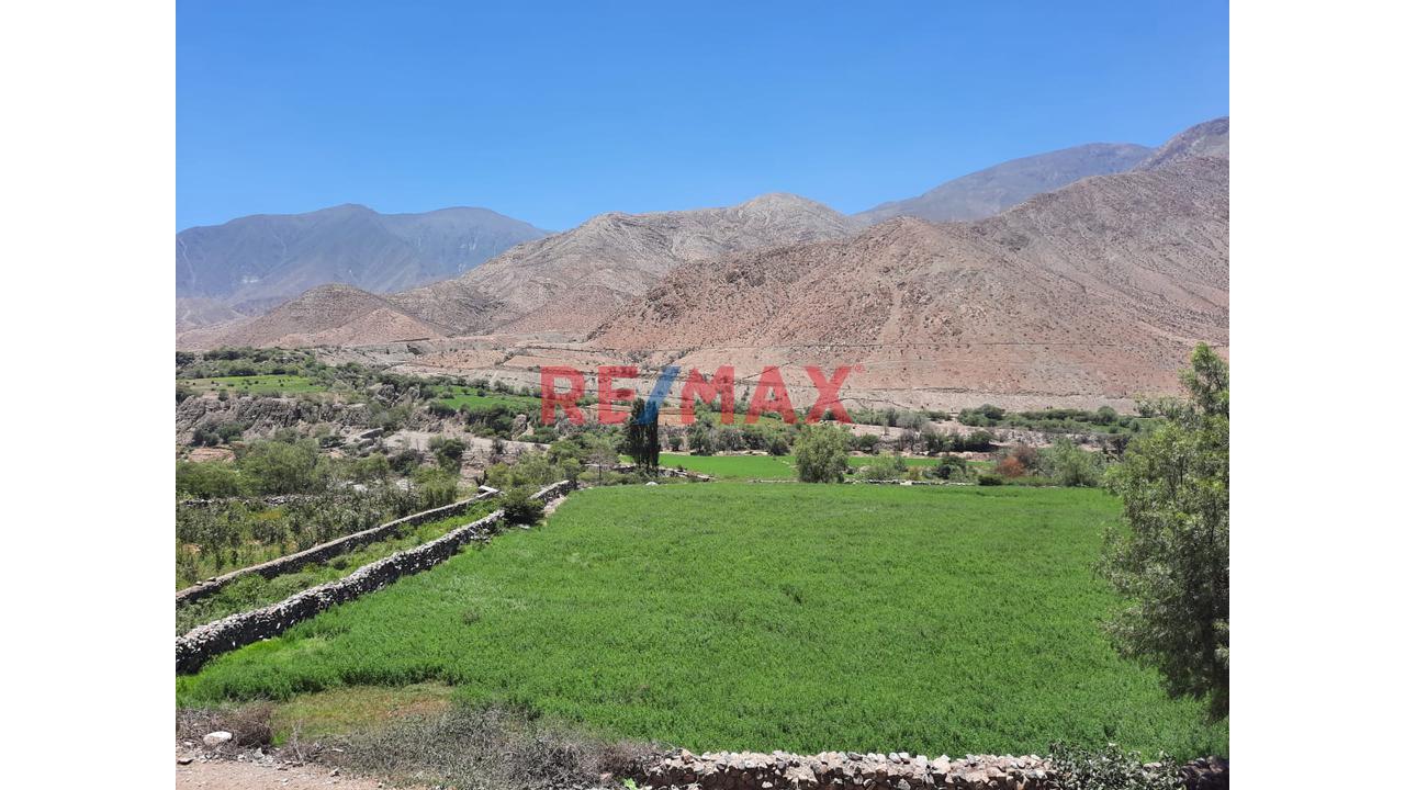 Haz Realidad Tu Proyecto Rural: Fundo Ganadero Y Agrícola En El Corazón De Sancos-Ayacucho - 9