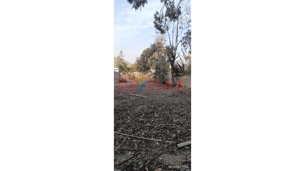 Venta De Terreno En Rinconada Alta -La Molina — foto 2