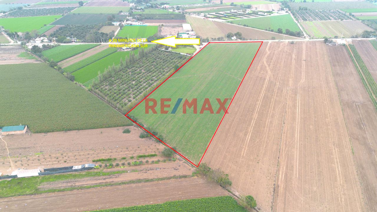 Terreno En Venta De 1.5 Hectáreas Ubicado En Quilmaná - Cañete - 5