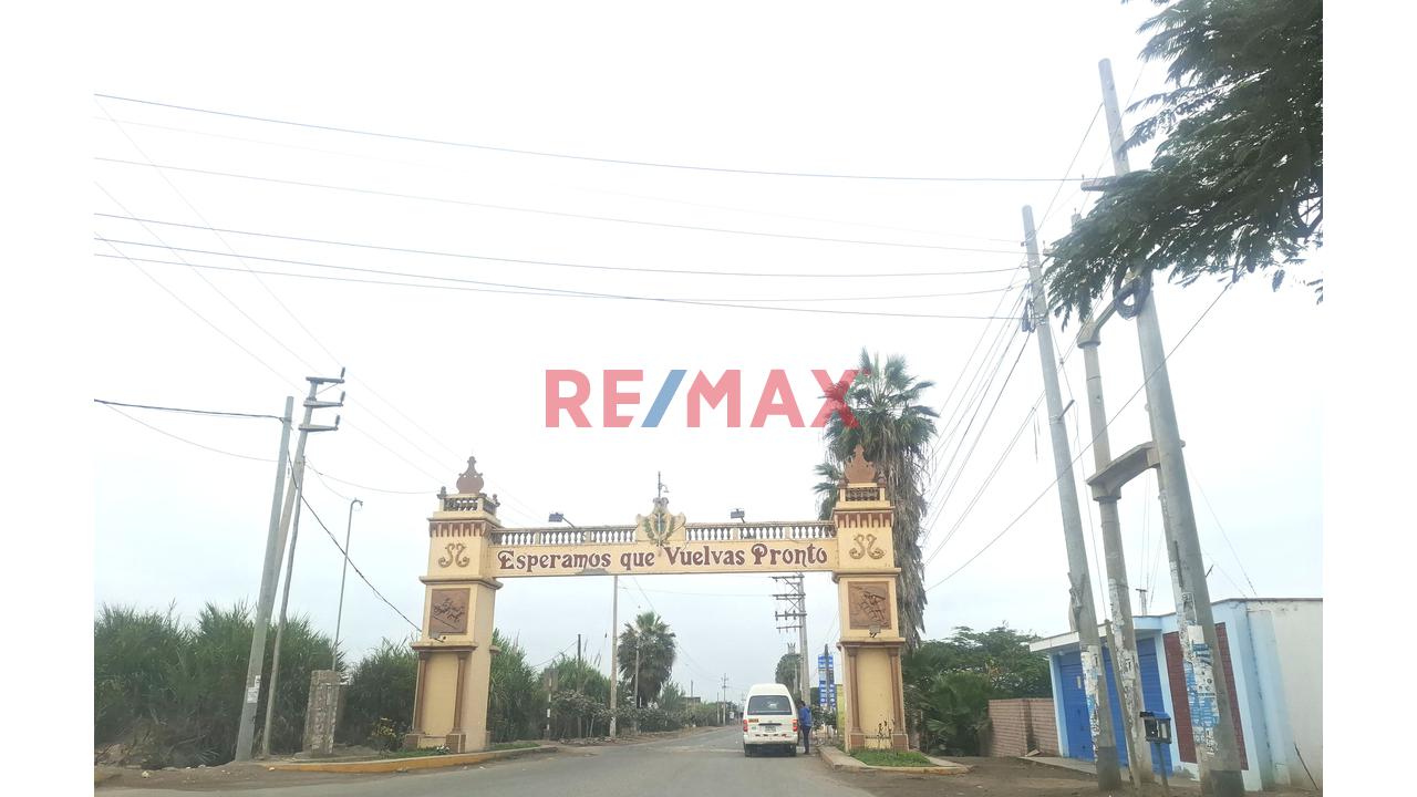 Terreno En Venta De 1.5 Hectáreas Ubicado En Quilmaná - Cañete - 15