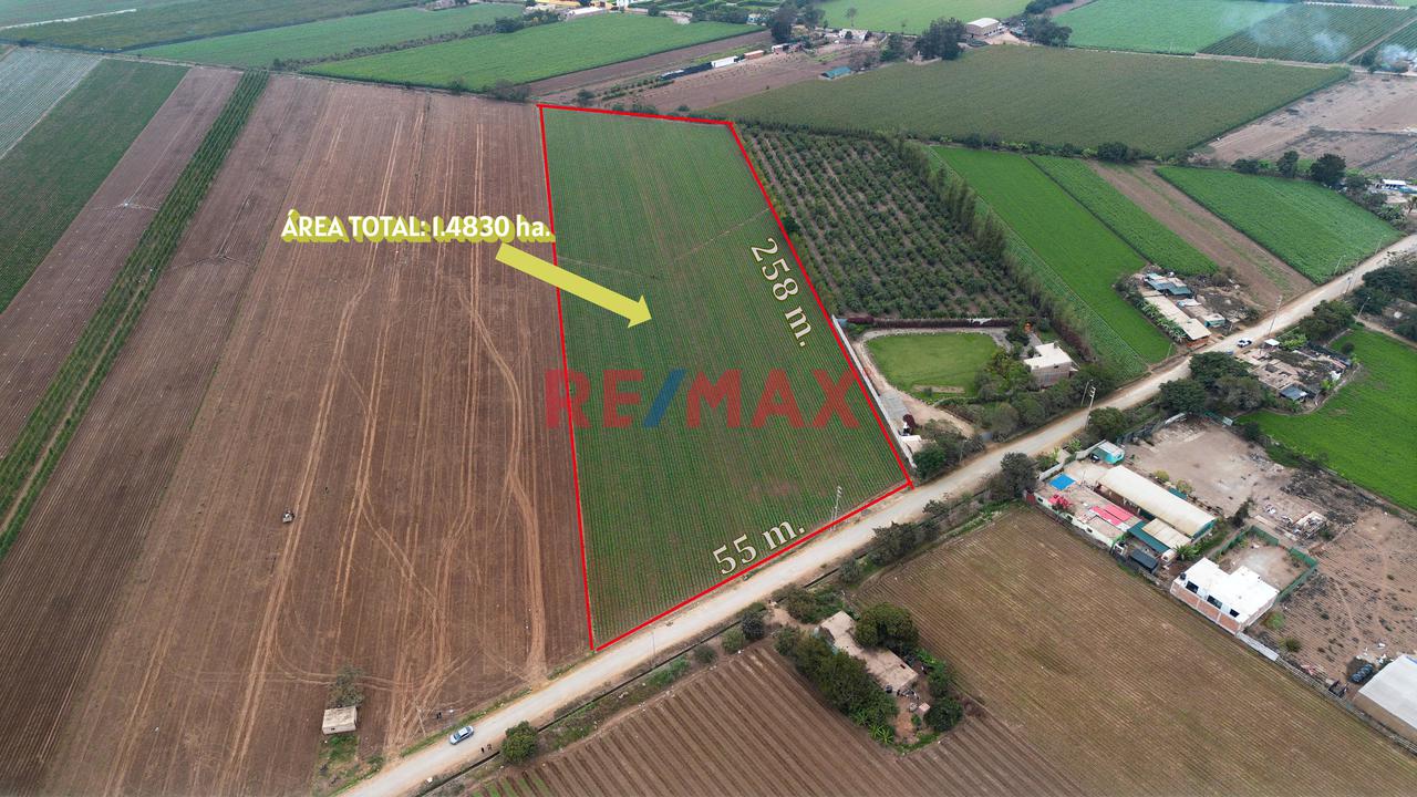 Terreno En Venta De 1.5 Hectáreas Ubicado En Quilmaná - Cañete - 1
