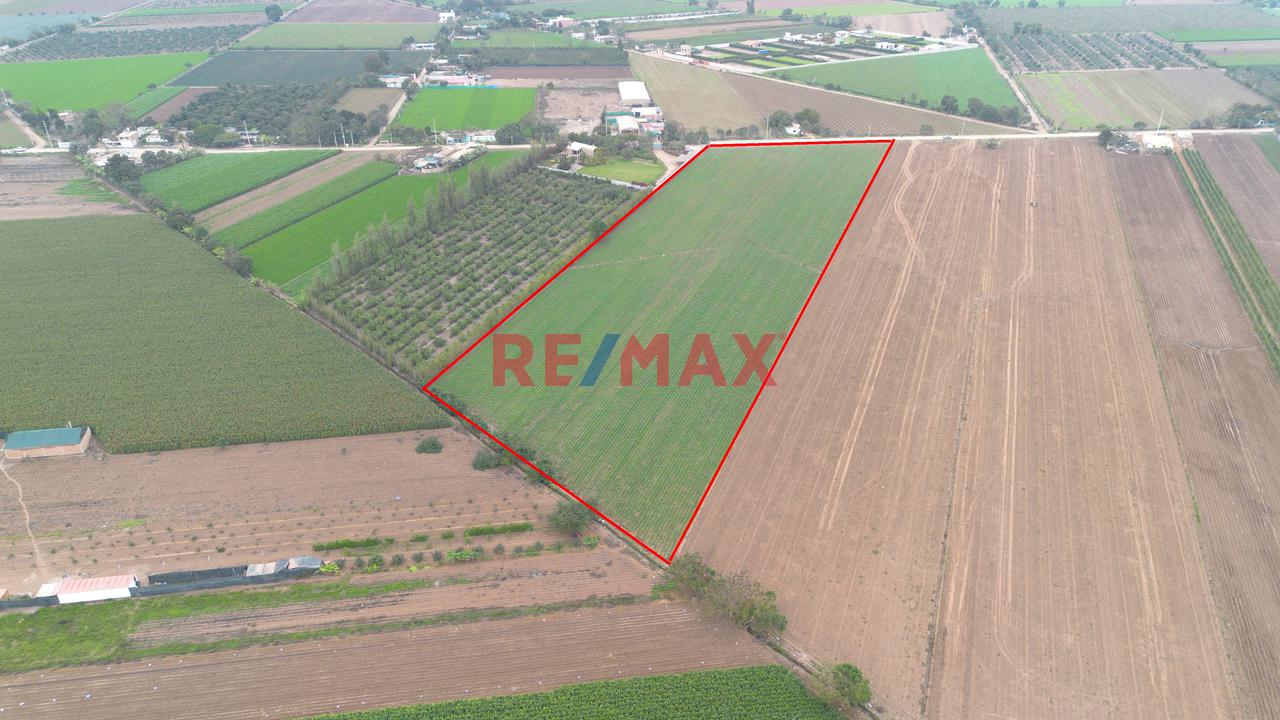Terreno En Venta De 1.5 Hectáreas Ubicado En Quilmaná - Cañete - 2