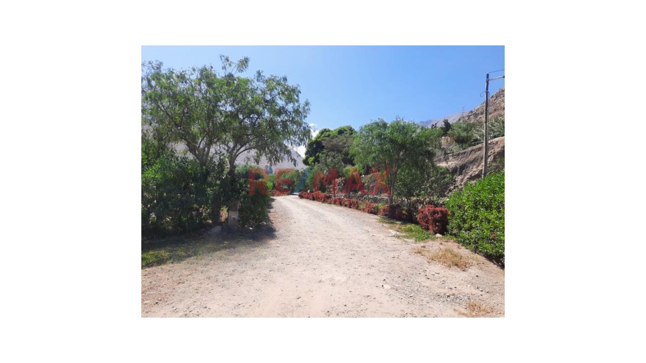 Venta De Terreno Rustico En Santa Rosa De Quives Los Molles - 4