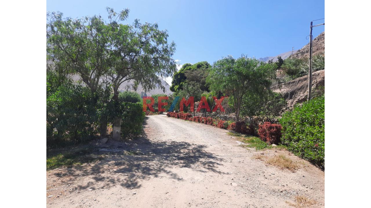 Venta De Terreno Rustico En Santa Rosa De Quives Los Molles - 5