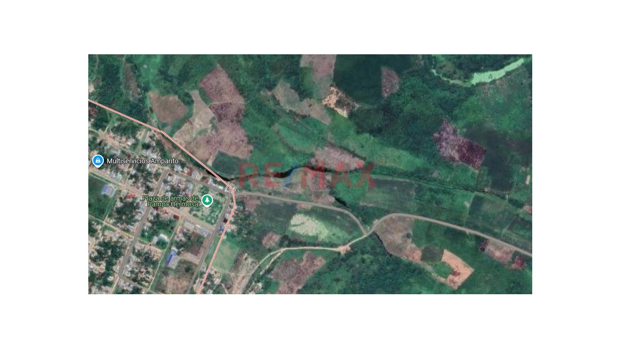 *"Selva, Tierra Y Futuro: 54 Ha En Venta En Pampa Hermosa"* *"Invest In The Jungle: 54 Hectares In Loreto For Agriculture, Forestry & Eco Projects"* - 5