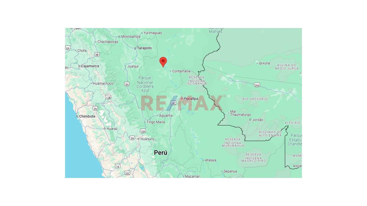 *"Selva, Tierra Y Futuro: 54 Ha En Venta En Pampa Hermosa"* *"Invest In The Jungle: 54 Hectares In Loreto For Agriculture, Forestry & Eco Projects"* - 2