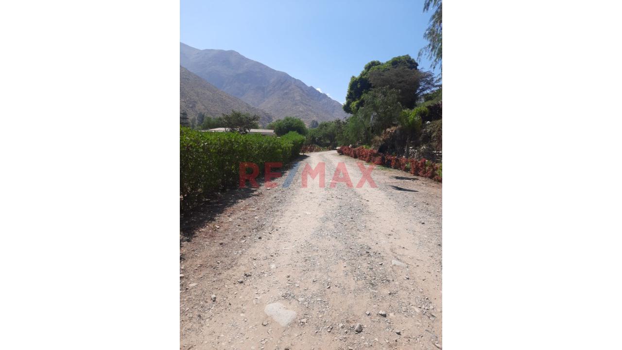 Venta De Terreno Rustico En Santa Rosa De Quives Los Molles - 2