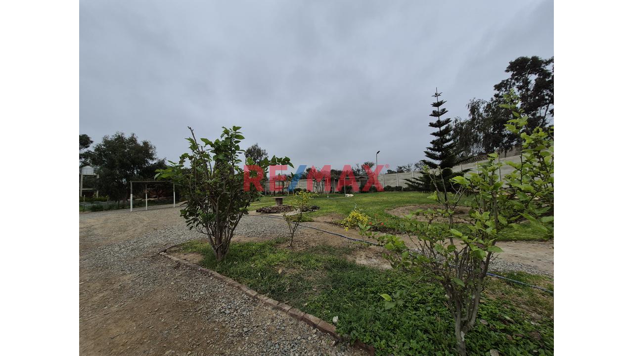 ¡Tu Casa De Campo A Solo Minutos De Lima! - 5