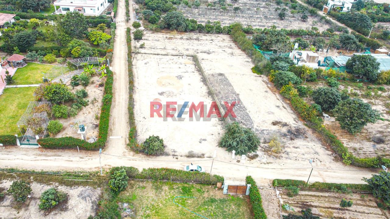 Terreno Exclusivo En Condominio | Invierte En Naturaleza | Huaral - 4