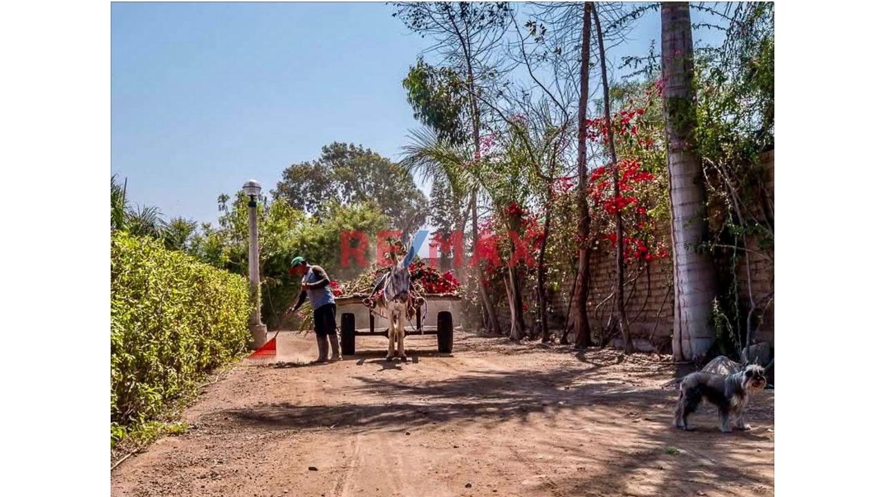 🏡 Tu Espacio Soñado A Solo 20 Minutos De Asia — foto 15