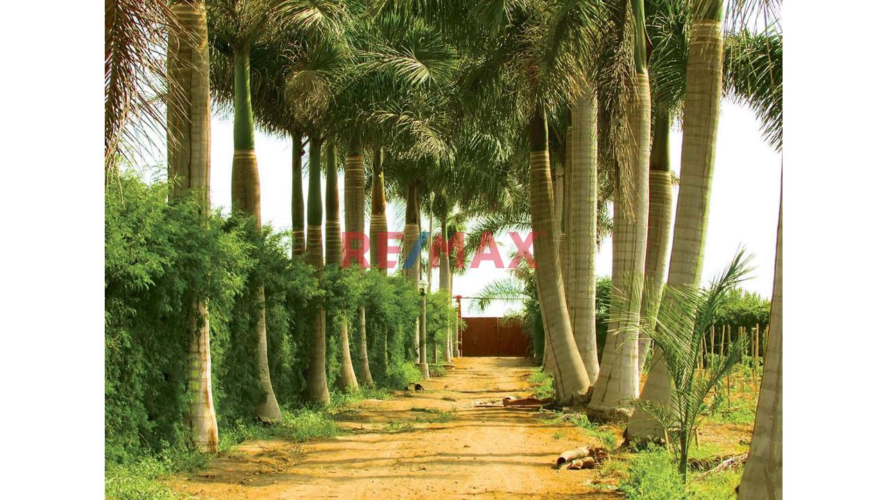 🏡 Tu Espacio Soñado A Solo 20 Minutos De Asia
