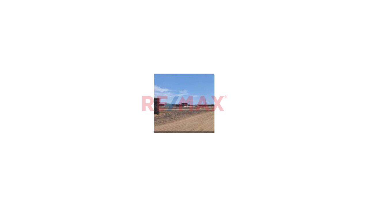 Vendo Terreno De 479 M2 En Asociacion Nuevo San Juan Km 115 Panamericana Norte — foto 4