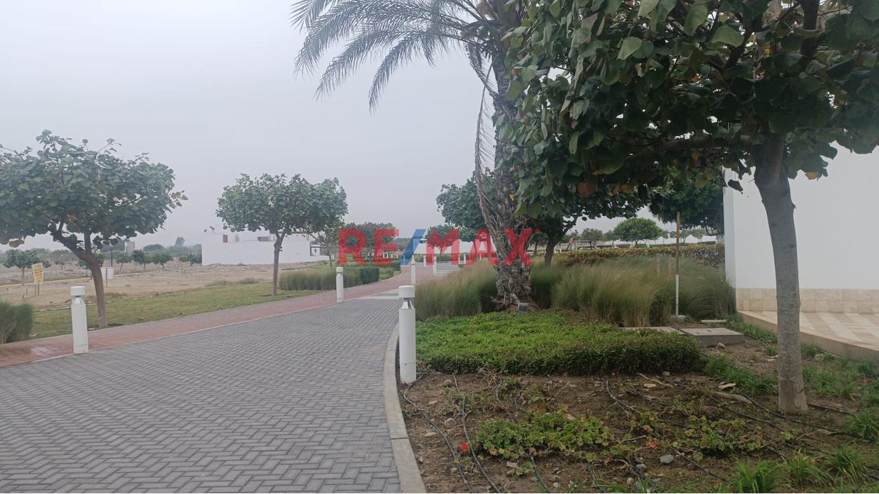 🌴 Increíble Terreno En Asia – Disfruta De Sol, Playa Y Diversión Todo El Año 🏖️ — foto 5
