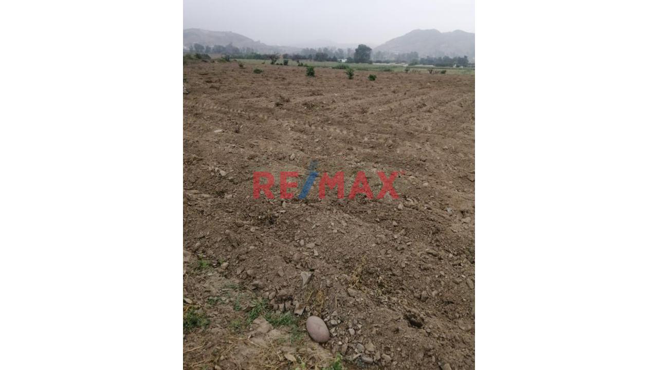 Venta De Terreno Agrigola En Pachacamac 30,000M2 - 4